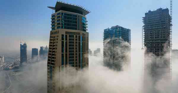 外国语单招大数据的行业文章