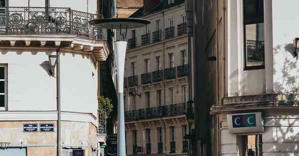 外国语单招大数据的行业文章