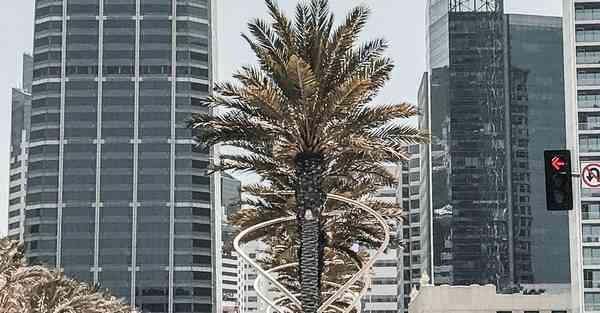 智能结算机器人答疑解惑