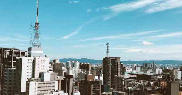 外国语单招大数据的行业文章