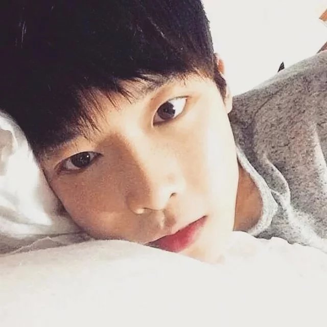 曲亮云楠