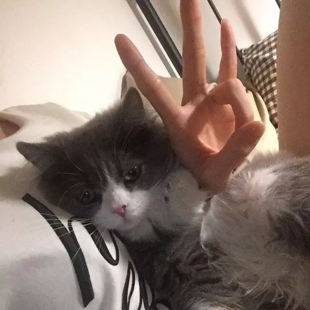 石信之腾