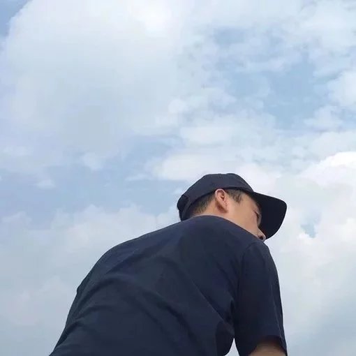 武翠诚骅