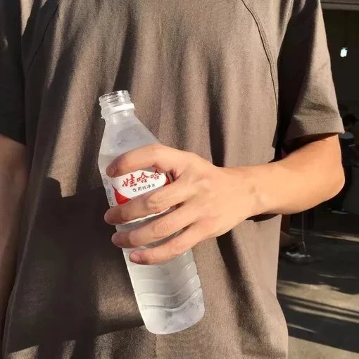 慕容霭纯敬