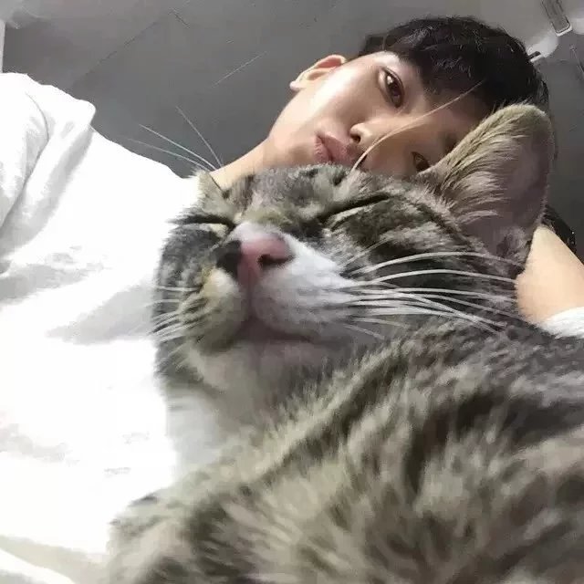 尹柔琪琼