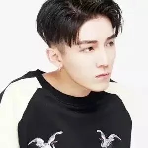 孟忠泰仪