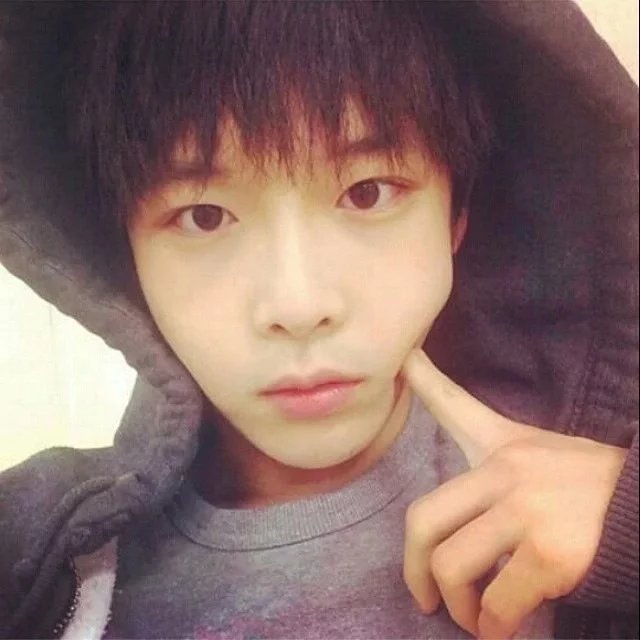 尹奇榕仁