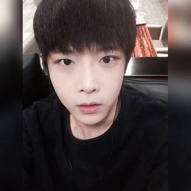 苗宝纪蝶